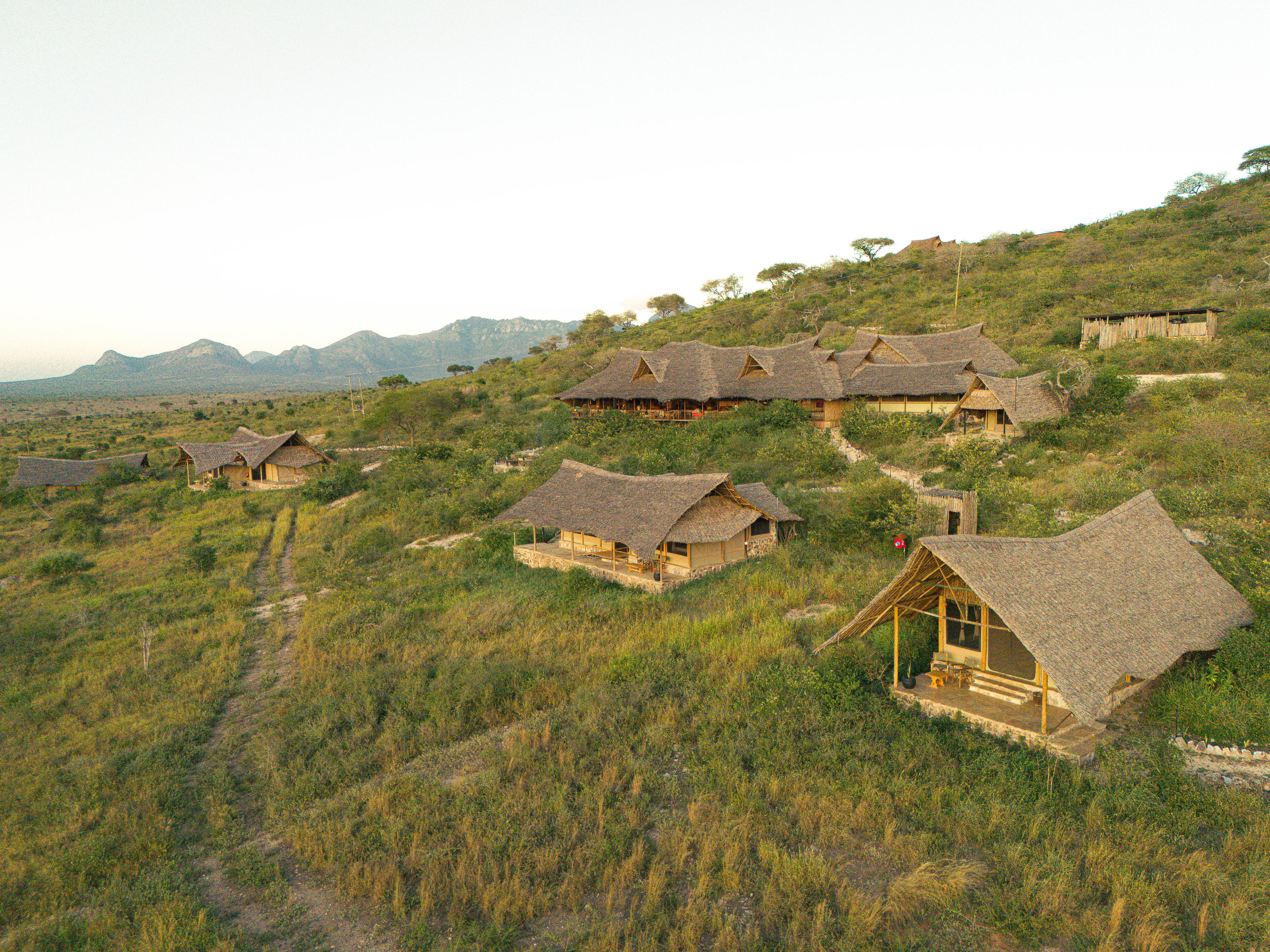 Soroi Cheetah Tented Camp - Autentyczny obóz namiotowy safari w Tsavo